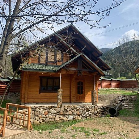 Еко Будинок В Горах Verkhnyaya Bystra Exterior foto