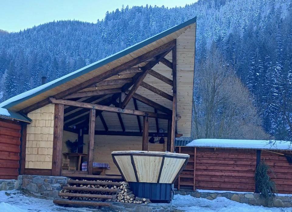 Еко Будинок В Горах Verkhnyaya Bystra Exterior foto